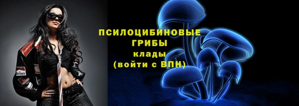ешки Абаза