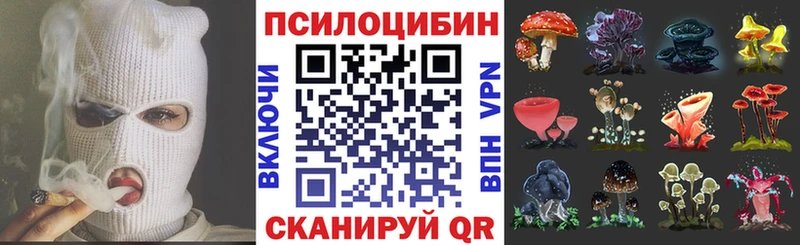 Галлюциногенные грибы Cubensis  Иваново 