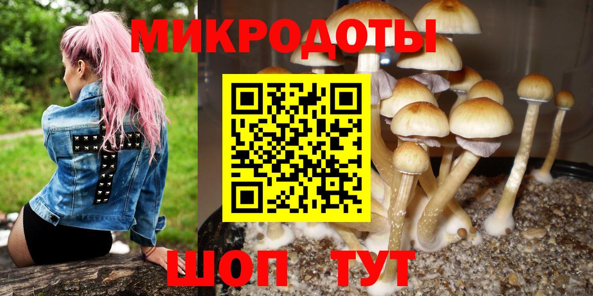 Галлюциногенные грибы ЛСД Иваново